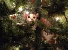 Cats-Vs-Christmas-Trees-cat-picture-081-031-650x488.webp