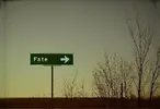 tumblr_lj3vvaUCcm1qck4f9o1_500.webp
