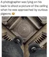 1647897531441.webp