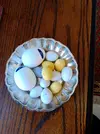 IMG_20220417_082124.webp