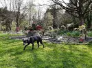 20220420_130220.webp