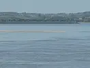 1650469253313.webp