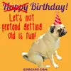 happy-birthday-funny-gif-animations-free-download-tap.webp