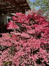 0DEC31B6-17AA-4BC4-935B-E0478B572C42.webp
