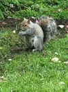 20220516_123855.webp