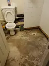 1652864792897.webp