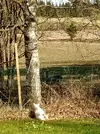 IMG_20220518_170436(1).webp
