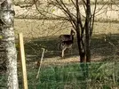 IMG_20220518_165810.jpg