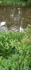 20220522_143101.webp