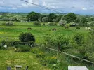 view from bedroom 1.webp