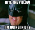 bite-the-pillow-im-going-in-dry.webp