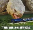 funny-pictures-tortoise-eating-toy-train-no-survivors.webp