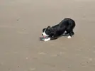 NELL ON CONWY MORFA BEACH 2.webp