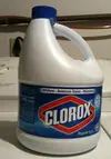 bottle_of_clorox_bleach.webp