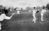 cricket-1908.webp