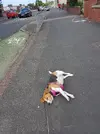 1655553910836.webp