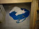 IMG_20220618_191228.webp