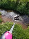 1655718745283.webp