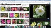 Screenshot 2022-06-24 at 13.03.03.webp