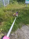 1656669266403.webp