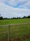 1657013053194.webp 1657013053194.webp