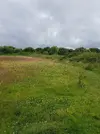 1657013120474.webp 1657013120474.webp