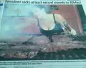 1657307711449.webp