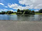 Sefton Park 1.jpg