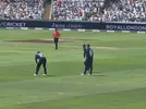cricket 1.jpg