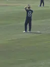 cricket 2.jpg