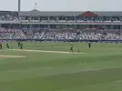 cricket 3.jpg