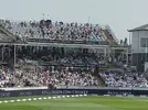 cricket 4.webp