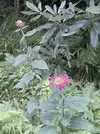 8981AB6B-C13C-4664-8881-6C81955E164D.webp