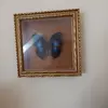 20220724_115459.webp 20220724_115459.webp