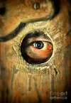 eye-looking-through-peep-hole-jill-battaglia.webp