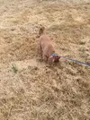B48F9385-1D3C-4C70-BFC0-55759D9780AD.jpeg