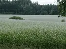 Screenshot 2022-07-29 at 17.21.02.webp
