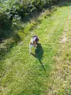 20220801_093244.webp