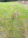 20220803_093347.webp 20220803_093347.webp
