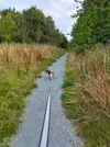 20220803_100703.webp 20220803_100703.webp