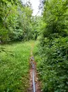 20220803_101036.webp 20220803_101036.webp