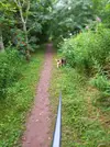 20220803_101811.webp 20220803_101811.webp