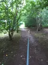 20220803_102404.webp 20220803_102404.webp