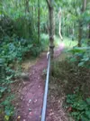 20220803_101111.webp 20220803_101111.webp