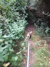 20220803_101248.webp 20220803_101248.webp