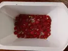 1659688217865.jpg