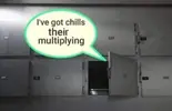 chils.webp