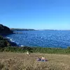 20220810_175218.webp 20220810_175218.webp