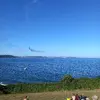 20220810_180902.webp 20220810_180902.webp