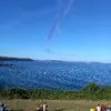 20220810_180810.webp 20220810_180810.webp